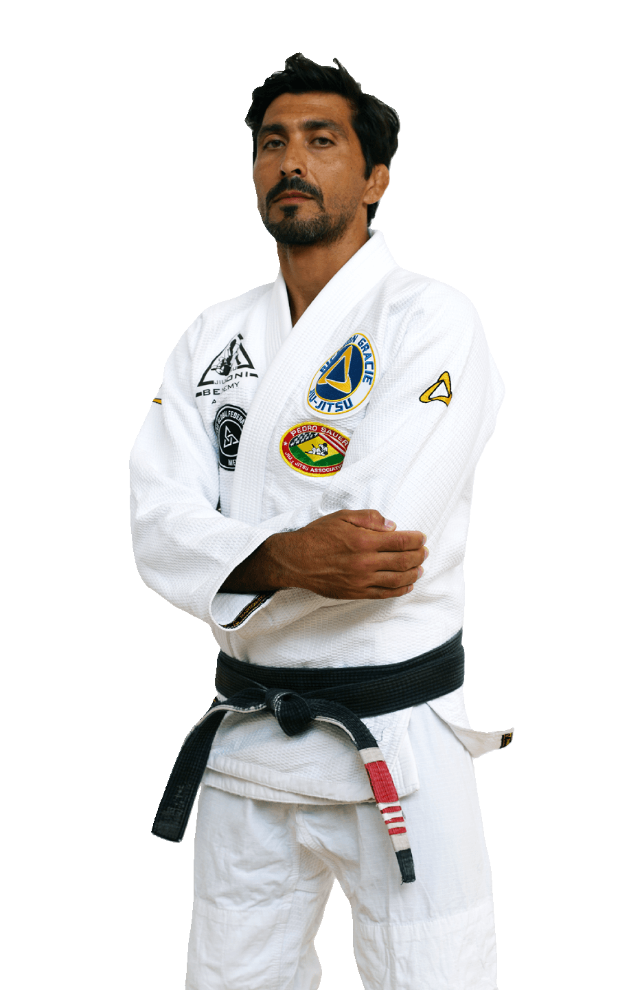 Gracie Jiu Jitsu Milano - Home EN